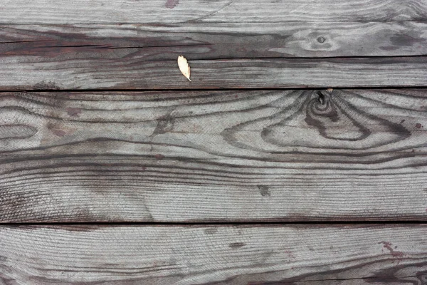 Tableros Húmedos Madera Gris Con Patrón Grano Pronunciado — Foto de Stock