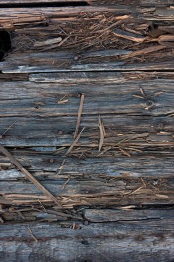 Çakmaklı eski çürük tahtalar. Yakın plan. Arkaplan ve tasarım için doku.