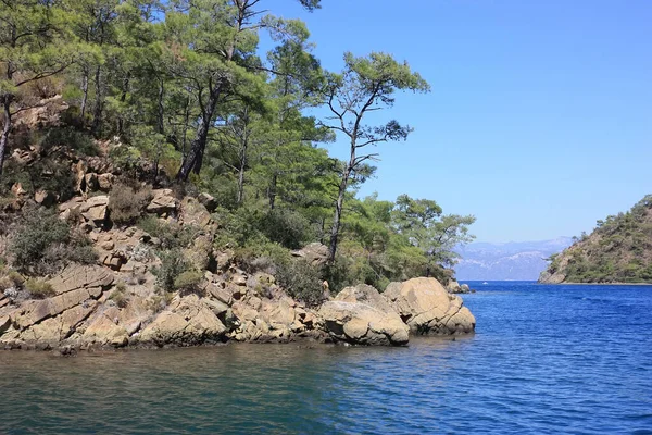 Vacker Utsikt Över Bukten Med Gamla Berg Med Tallskog Medelhavet — Stockfoto