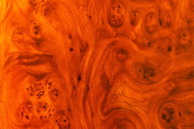 Karelya huş ağacının dokusundan portakal rengi parlak arkaplan.