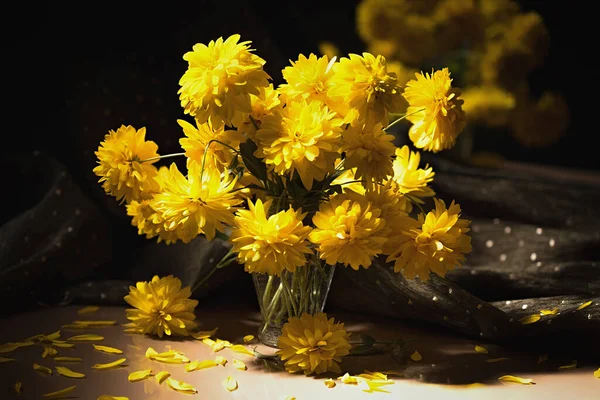 Altın toplar Rudbeckia 'nın koyu arkaplanda cam bir vazoda duran harikulade sarı çiçeklerle dolu bir hayat..