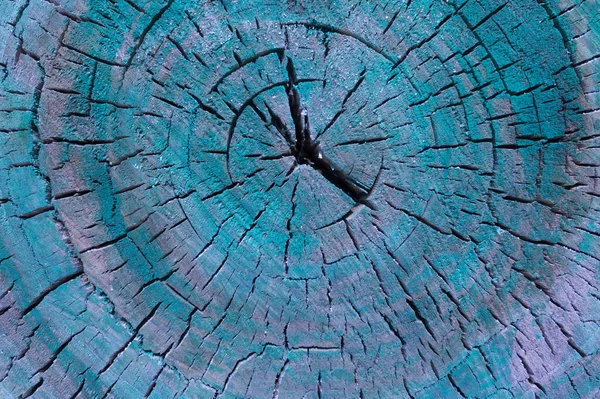A close-up of a cracked old cross-section of a tree stained with green paint.