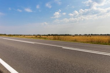 Açık bir sonbahar gününde çim biçme tarlası boyunca beyaz işaretli asfalt bir yol..