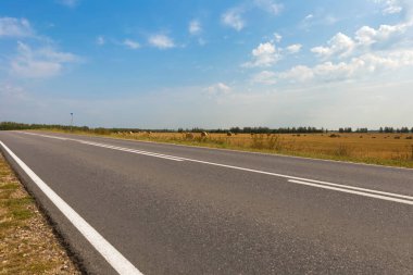 Güneşli bir sonbahar gününde saman rulolarının olduğu otoban boyunca.