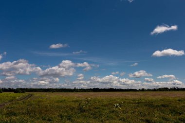 Güzel kümülüs bulutlarıyla dolu mavi gökyüzü vahşi bir tarlanın üzerinde. Gökyüzü deseni.
