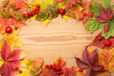 Canlı renkli akçaağaç yapraklarından yapılmış çerçeve ve içinde ahşap arka plan olan dağ küllerinden ve gül hippilerinden oluşan olgun kırmızı meyveler..