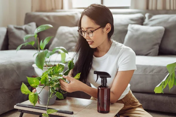 Happy woman care for her plants at home. Asian woman gardening at home, Home gardening.