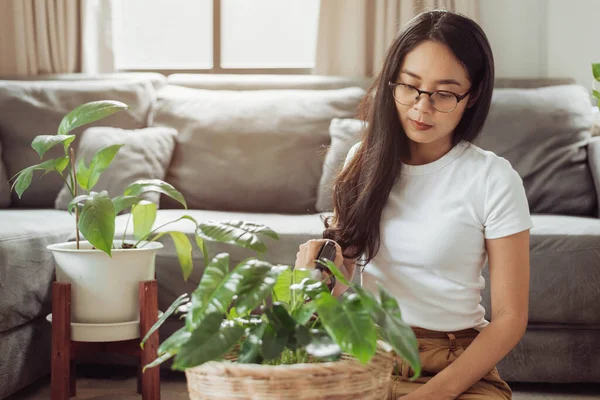 Mulher Cuidar Suas Plantas Casa Mulher Asiática Jardinagem Casa Jardinagem — Fotografia de Stock