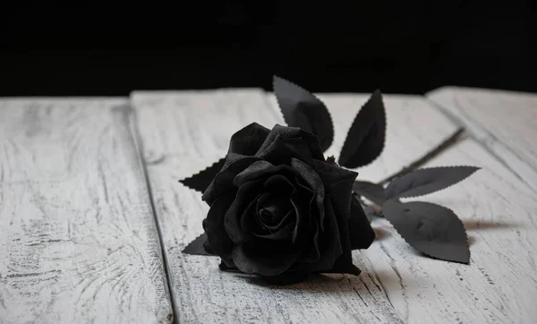 Una Rosa Negra Yace Sobre Fondo Blanco Tableros Madera Blancos — Foto de Stock
