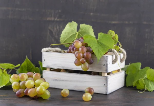 A sprig of red-green grapes hangs from a wooden box. Green leaves and berries in the background