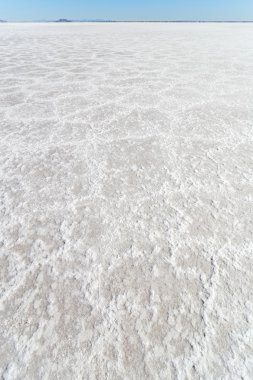 bonneville tuz düzlükleri