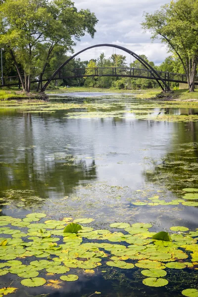 Pond and Bridge — Stock Photo, Image