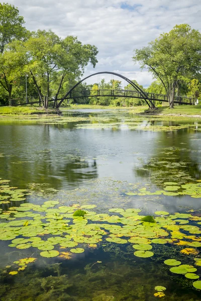 Pond and Bridge — Stock Photo, Image