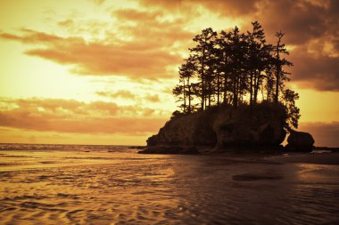 Pasifik kıyısında günbatımı