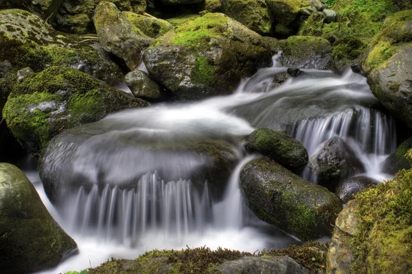 Bos Creek Falls — Stockfoto