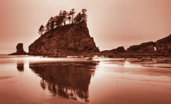 Second Beach — Stock Photo, Image