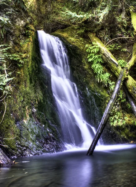 Wolfbach fällt — Stockfoto