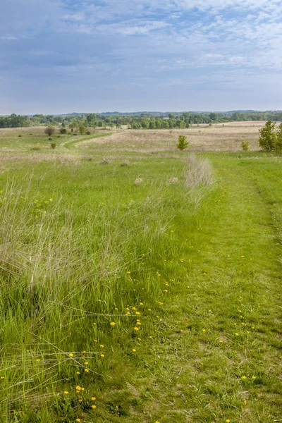 Piękną wiosnę krajobraz — Zdjęcie stockowe