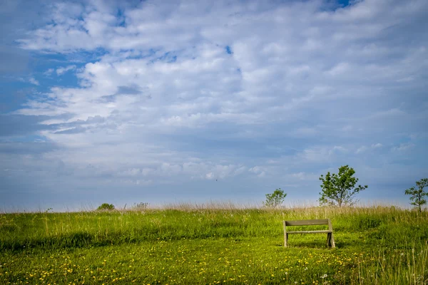 Spring landscape with bench — Stock Photo, Image