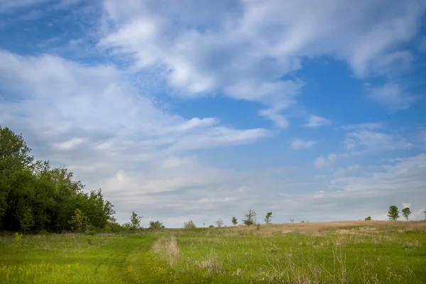 Bellissimo paesaggio primaverile — Foto Stock