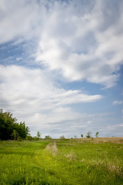 Schöne Frühlingslandschaft — Stockfoto