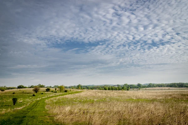 Bellissimo paesaggio primaverile — Foto Stock