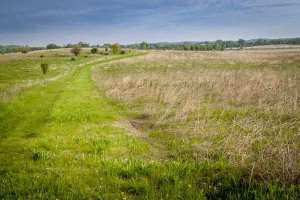 Piękną wiosnę krajobraz — Zdjęcie stockowe