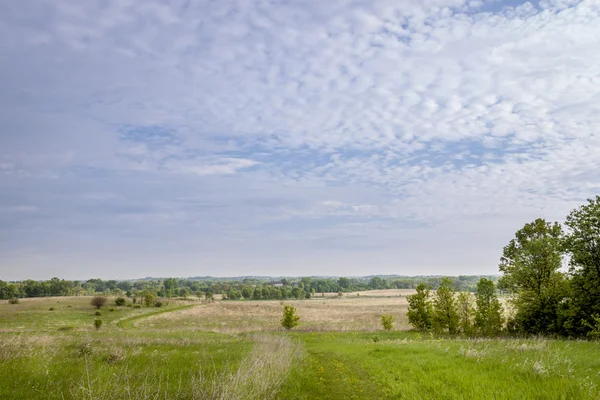 Piękną wiosnę krajobraz — Zdjęcie stockowe