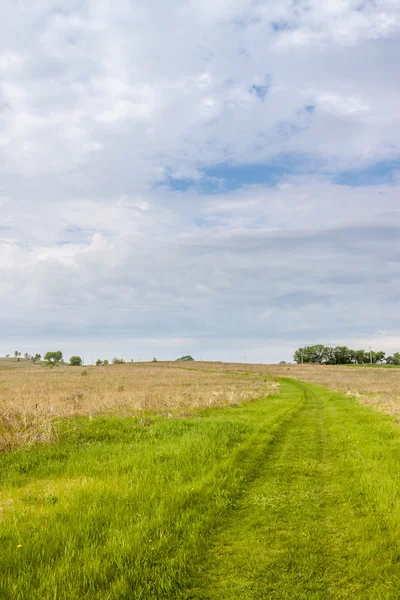 Bela paisagem primavera — Fotografia de Stock