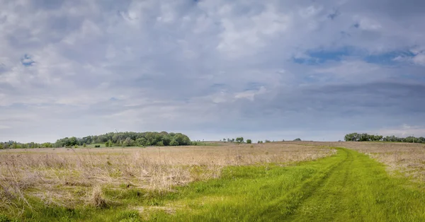 Bellissimo paesaggio primaverile — Foto Stock