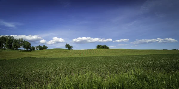 Campo da Primavera — Fotografia de Stock