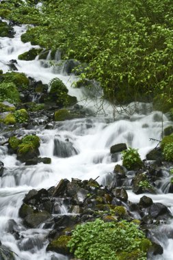 Oregon şelale