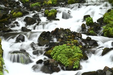 Oregon şelale