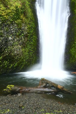 Oregon şelale