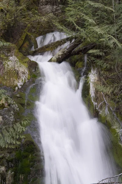 Madison Falls — Stock Photo, Image