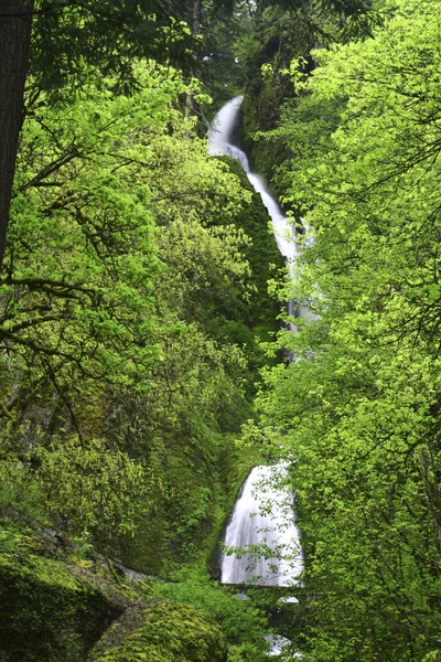 Орегонский водопад — стоковое фото
