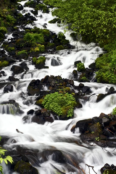 Oregon waterval — Stockfoto