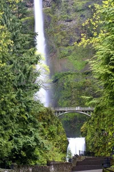 Cachoeira do Oregon — Fotografia de Stock