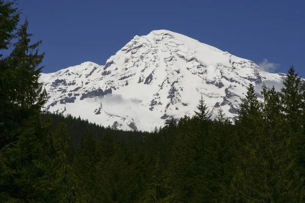 Mt. Rainier — Stok fotoğraf