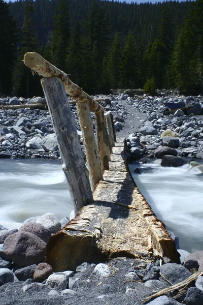 Trail міст через потік — стокове фото