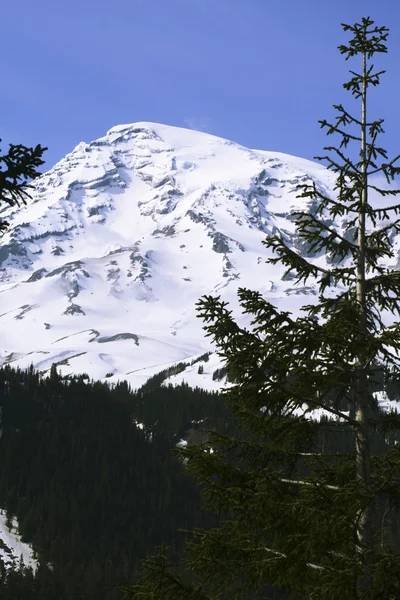 Rainier Peak — Stock Photo, Image