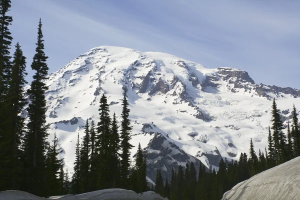 Mt. Rainer — Stockfoto