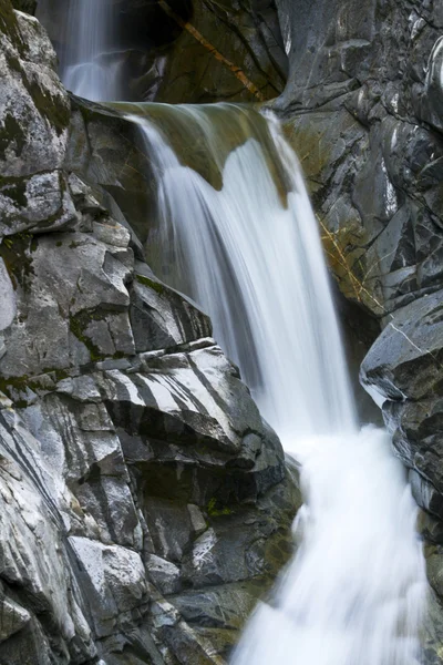 Christine Falls no Parque Nacional Rainier — Fotografia de Stock