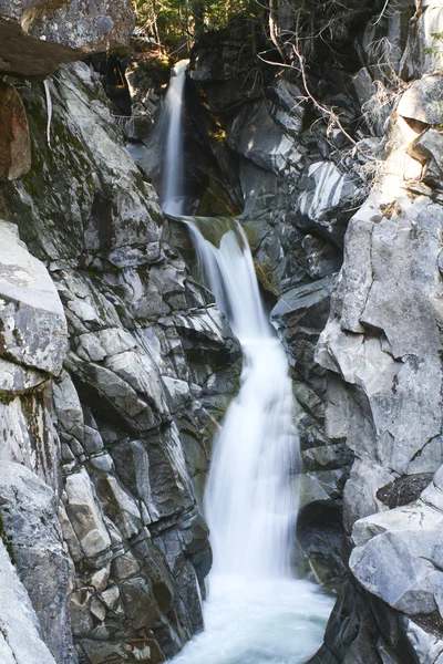 Christine Falls in Rainier National Park — Stock Photo, Image