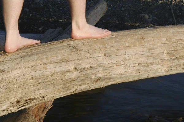 Feet balancing on log — Stock Photo, Image