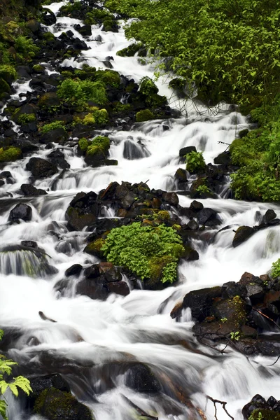 Oregon waterfall Stock Image