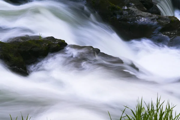 Primo piano del fiume — Foto Stock