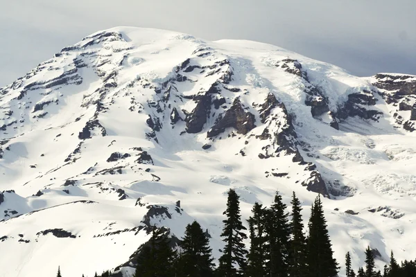 MT Rainier — Stock fotografie