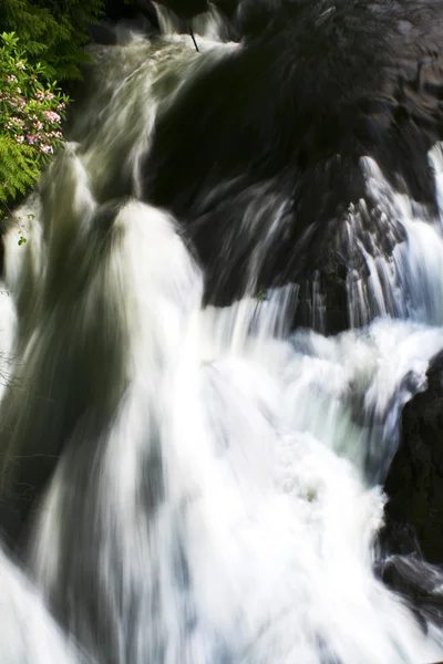 Tumwater — Φωτογραφία Αρχείου