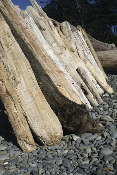 Lean to on beach — Stock Photo, Image